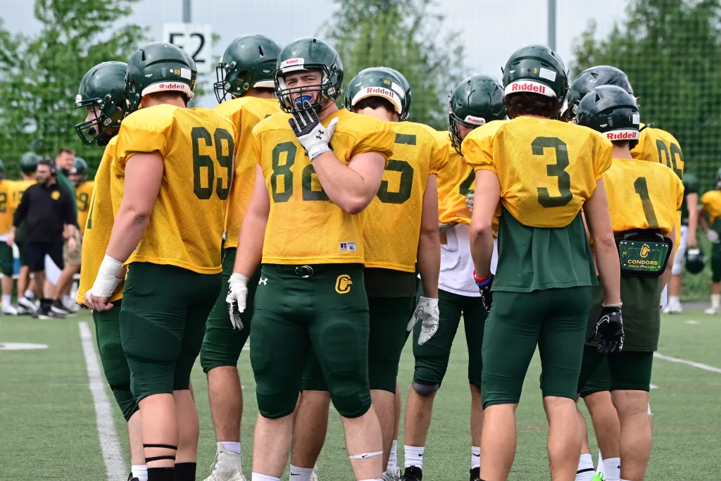 Simulation Condors football