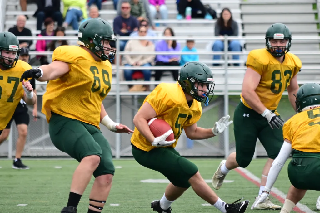 Simulation Condors football