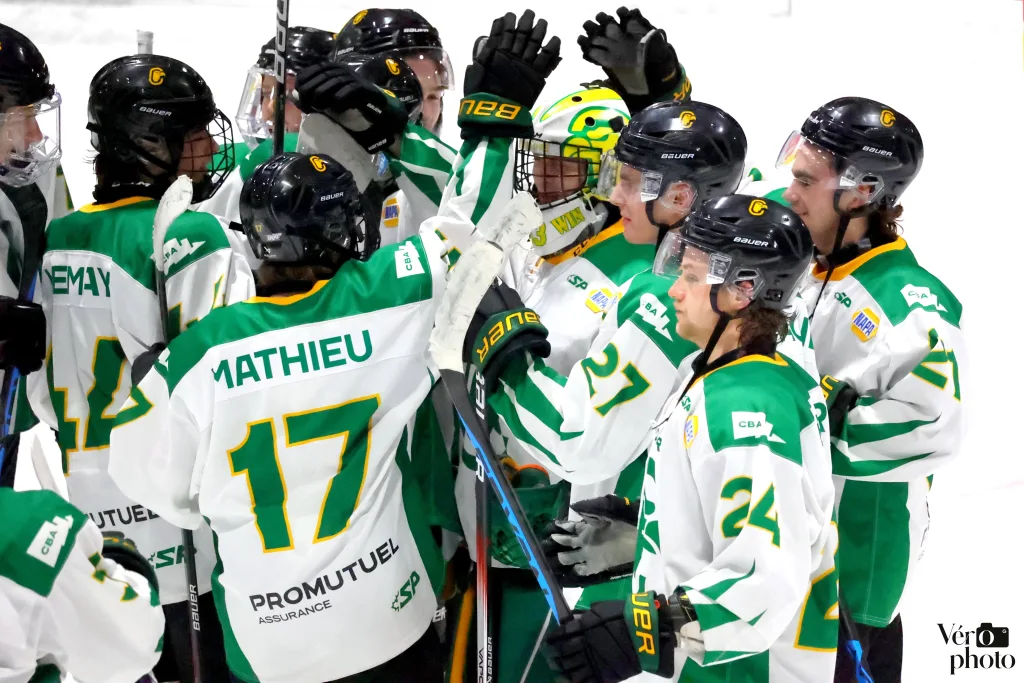 Équipe Condors hockey joueurs glace