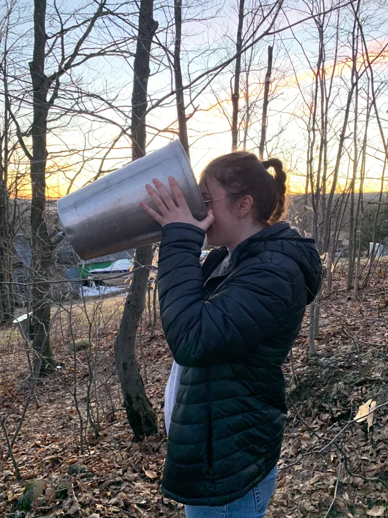 Dégustation sève d'érable en chaudière