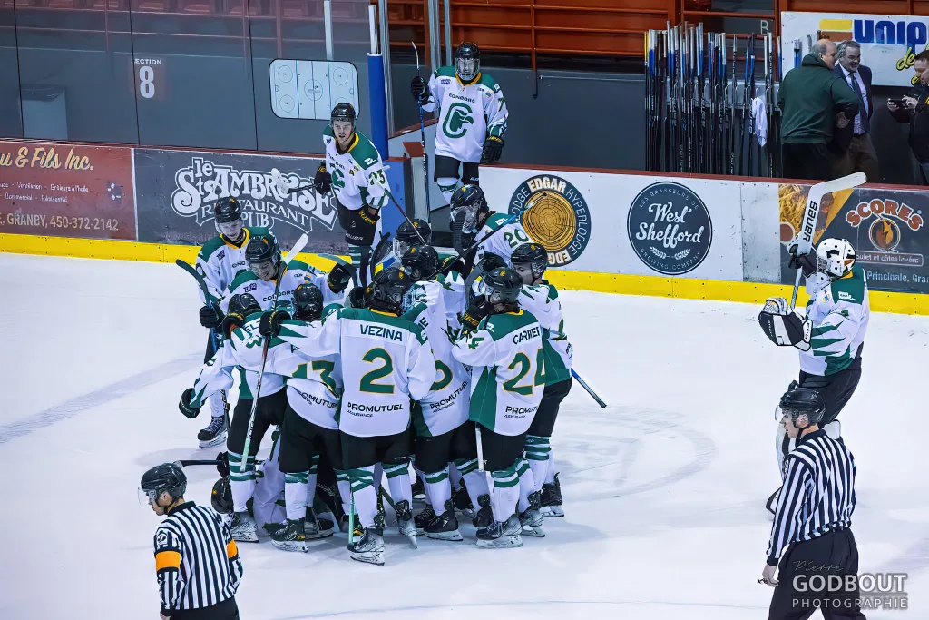 Victoire Condors hockey